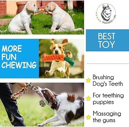Dog Chew Toys For Puppies For Aggressive Chewers